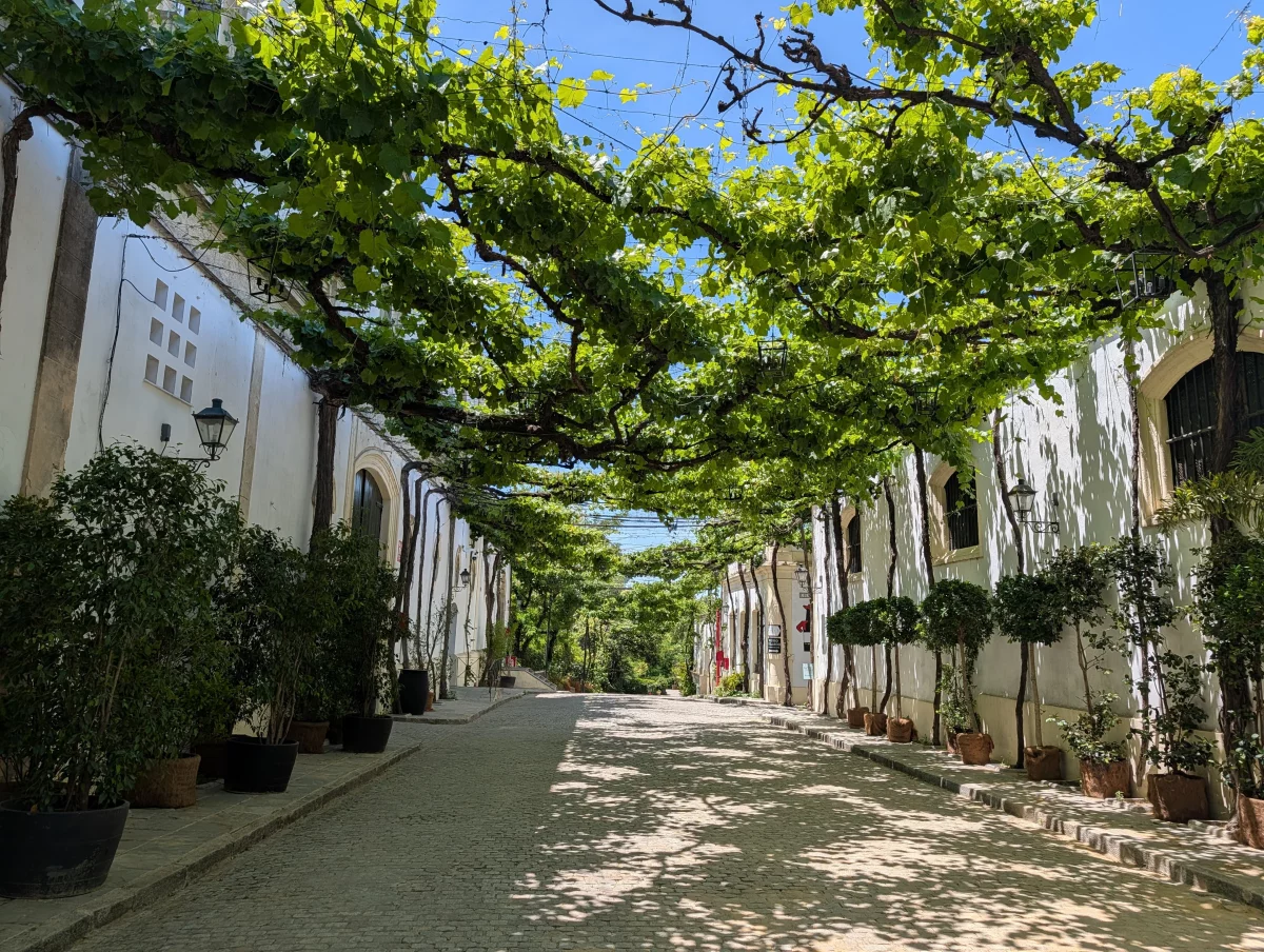 Vista del centro histórico de Jerez de la Frontera, destino para formación Erasmus+ KA1